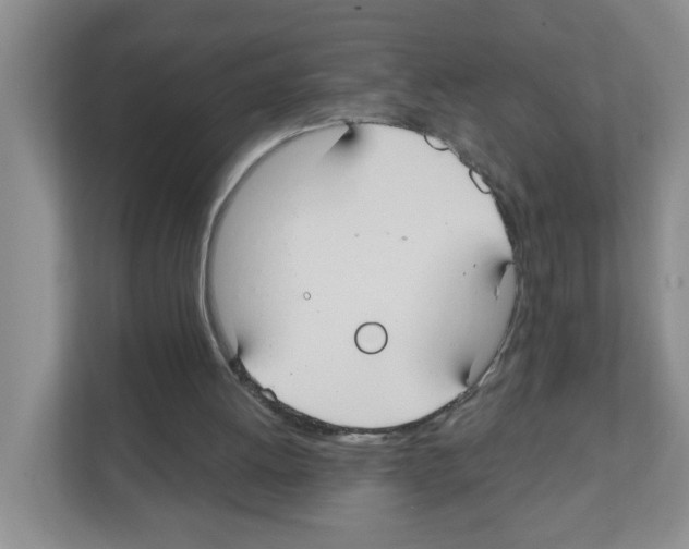 X0000111420052200908241140