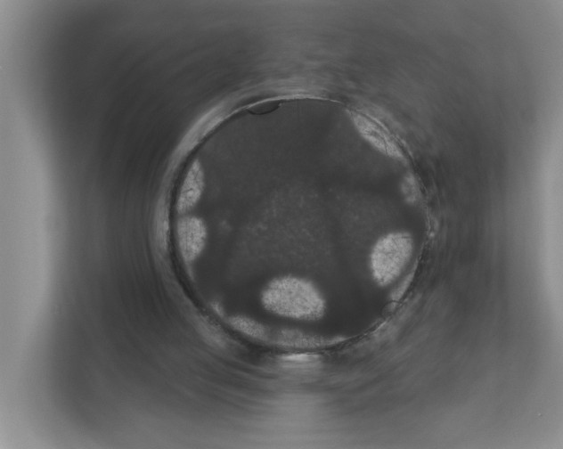 X0000111420053200908241140