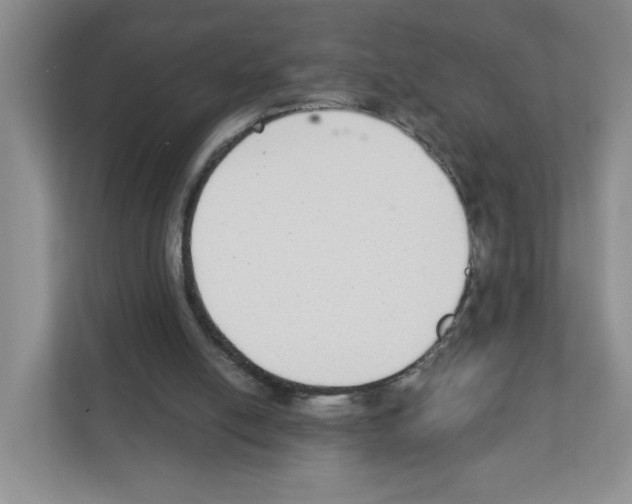 X0000111420054200908241140
