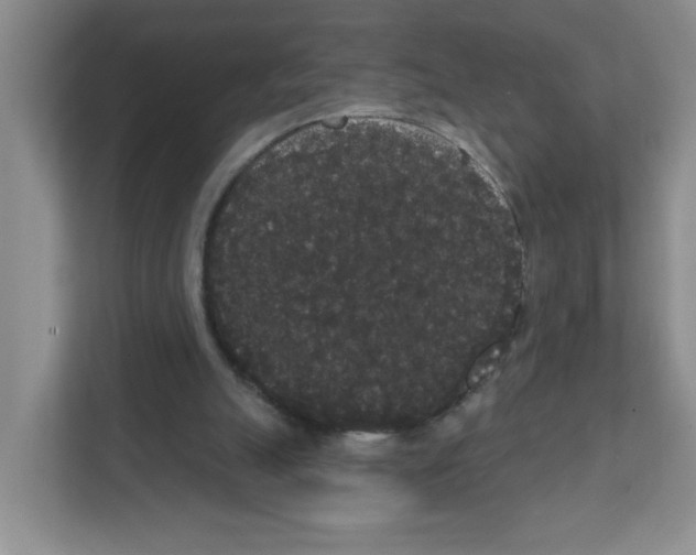 X0000111420055200908241140