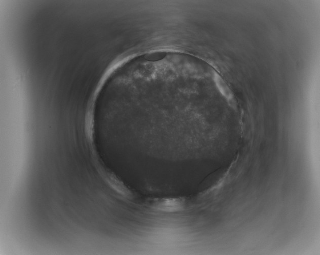 X0000111420056200908241140