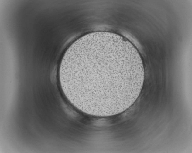 X0000111420058200908241140