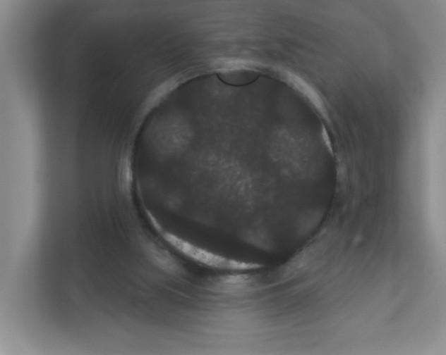 X0000111420059200908241140