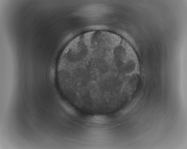 X0000111420063200908241140