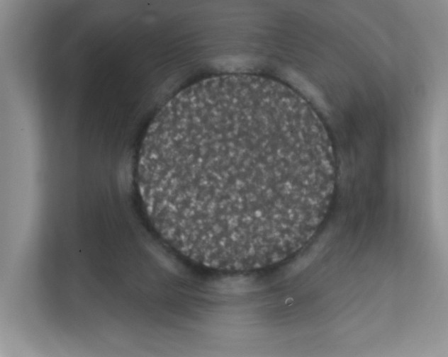 X0000111420065200908241140