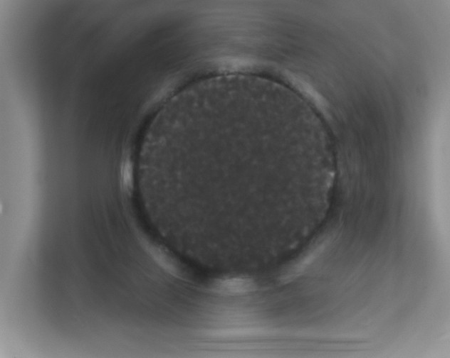 X0000111420067200908241140