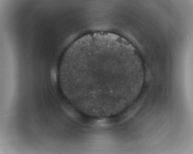 X0000111420068200908241140