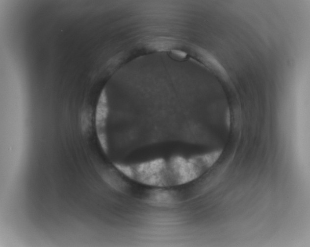 X0000111420073200908241140
