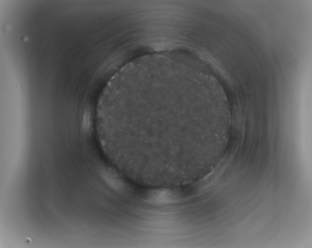 X0000111420074200908241140