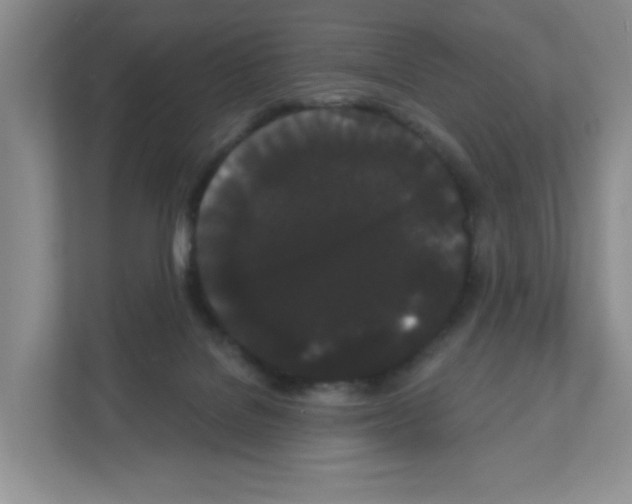 X0000111420076200908241140