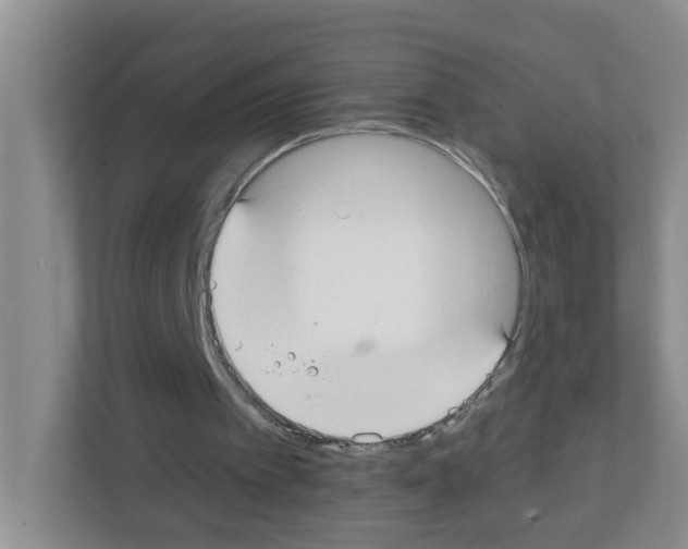 X0000111420097200908241140