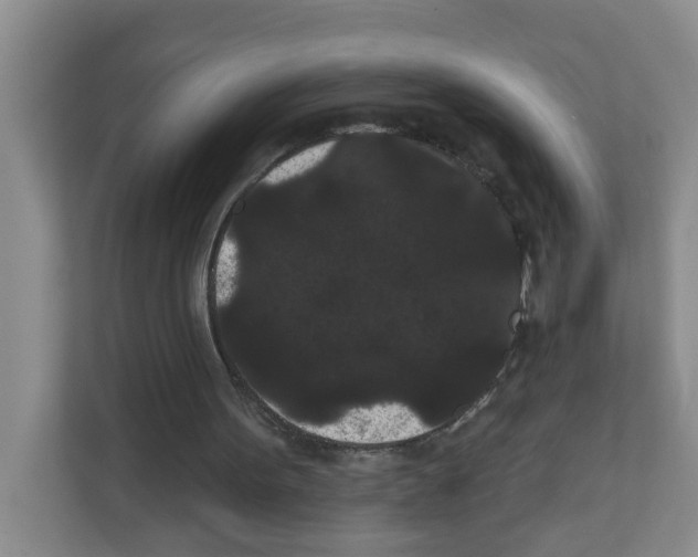 X0000111420099200908241140