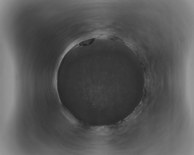 X0000111420100200908241140