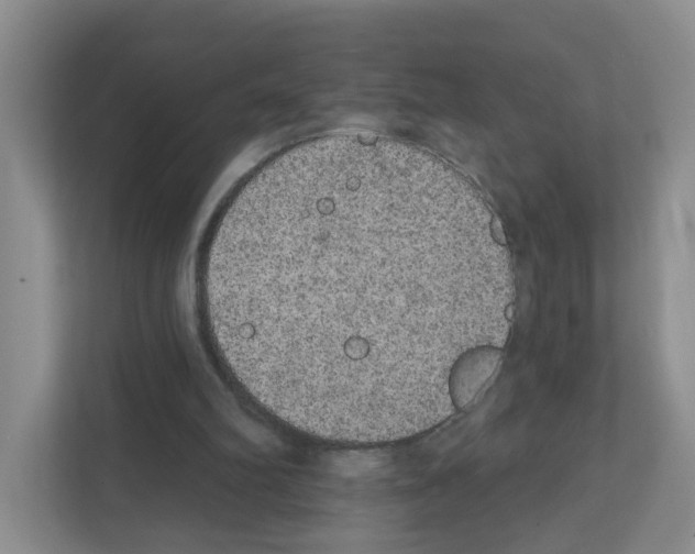 X0000111420102200908241140