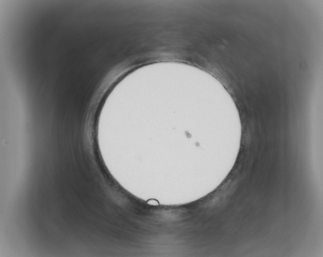 X0000111420103200908241140