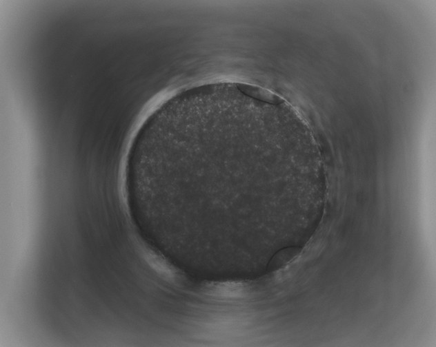 X0000111420104200908241140