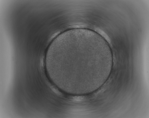 X0000111420105200908241140