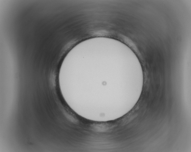 X0000111420106200908241140