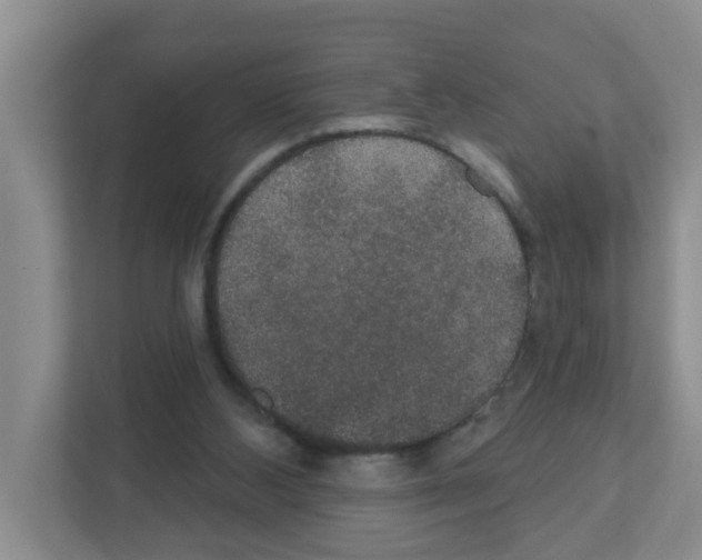 X0000111420108200908241140