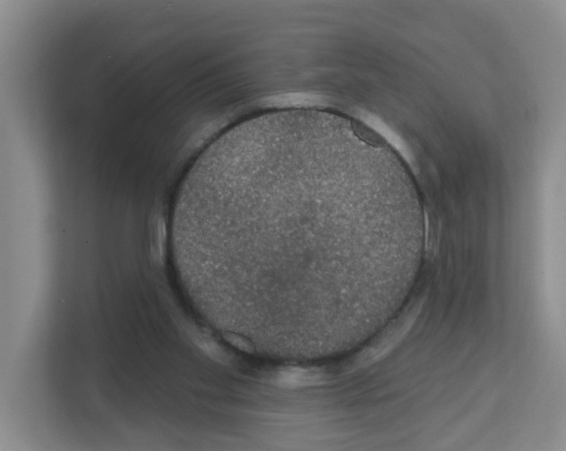 X0000111420109200908241140