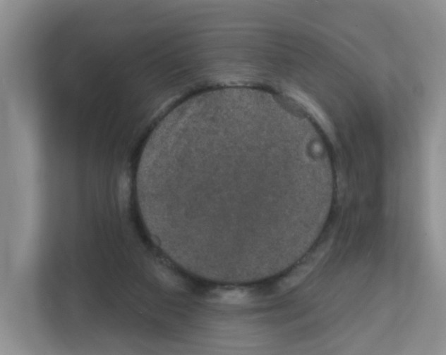X0000111420113200908241140