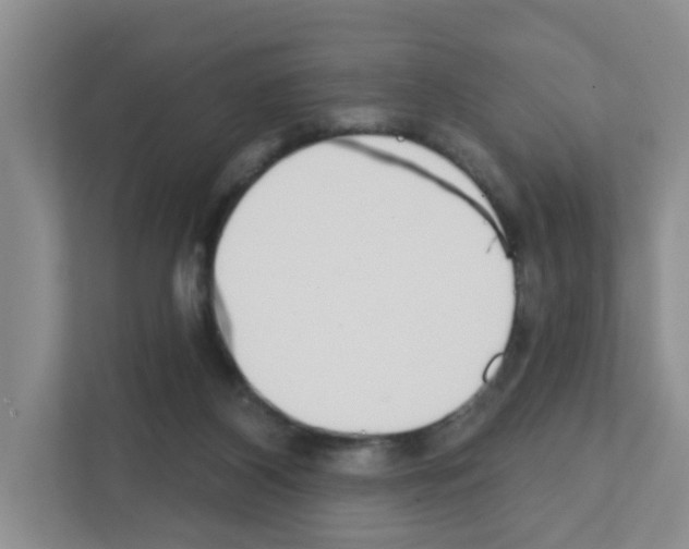 X0000111420116200908241140