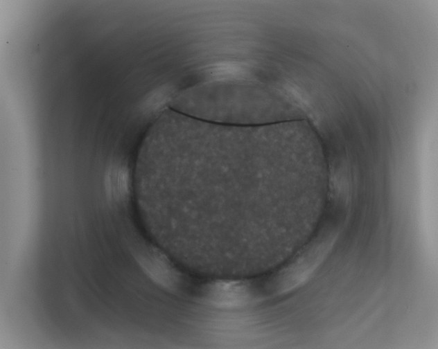 X0000111420117200908241140