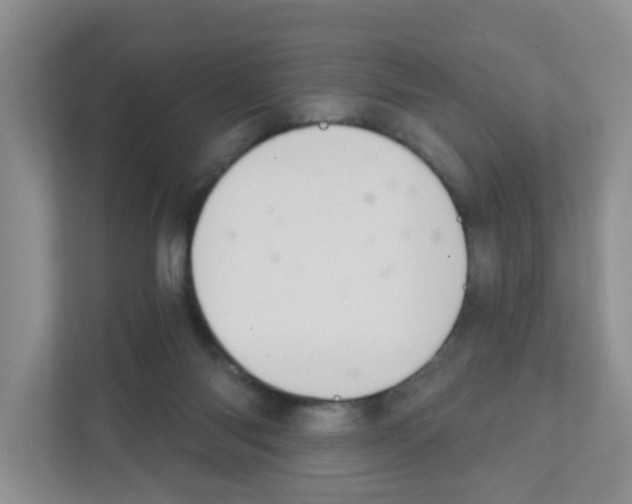 X0000111420118200908241140