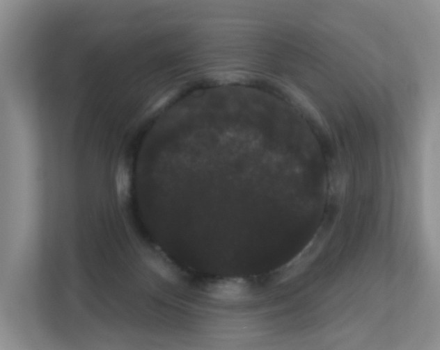 X0000111420124200908241140