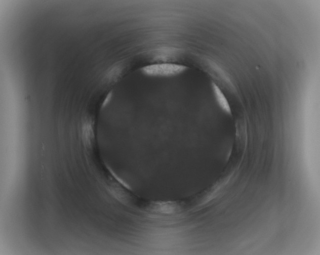 X0000111420127200908241140