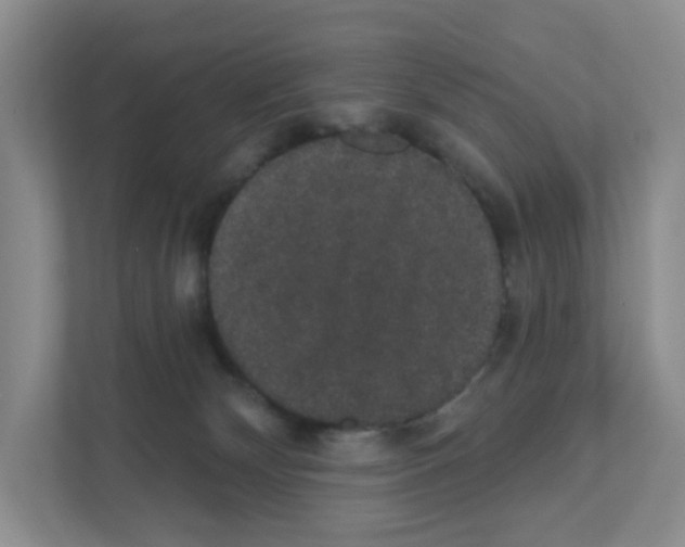 X0000111420132200908241139