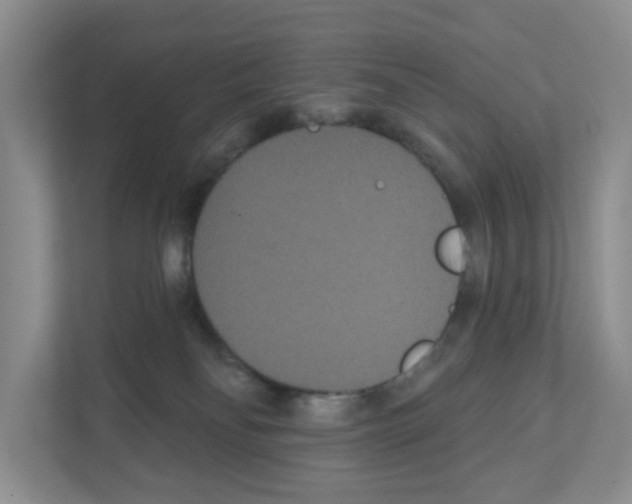 X0000111420134200908241139