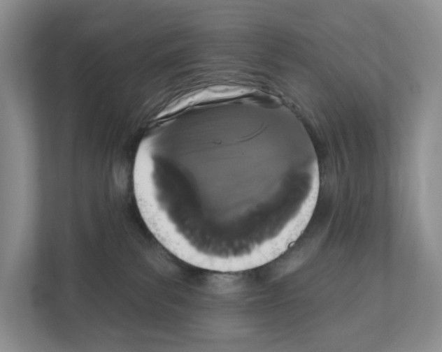 X0000111420139200908241139