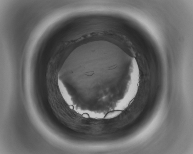 X0000111420143200908241139