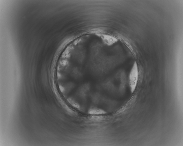 X0000111420145200908241139