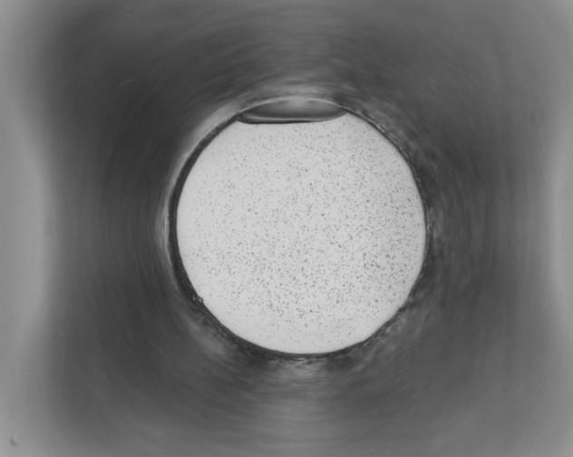 X0000111420148200908241139