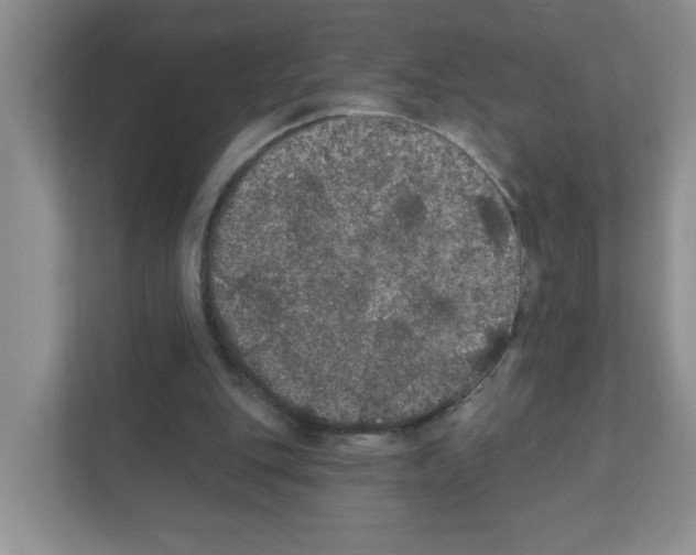 X0000111420151200908241139