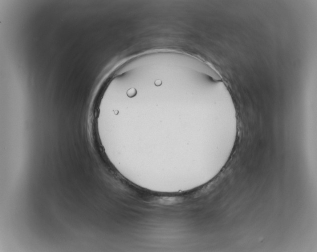 X0000111420152200908241139
