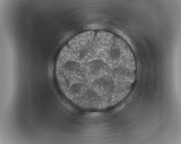 X0000111420153200908241139