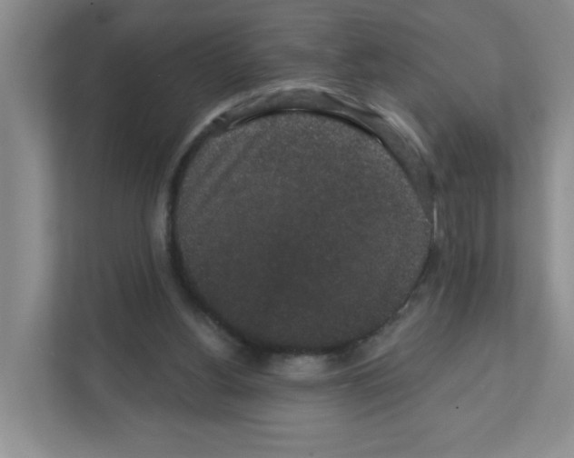 X0000111420156200908241139