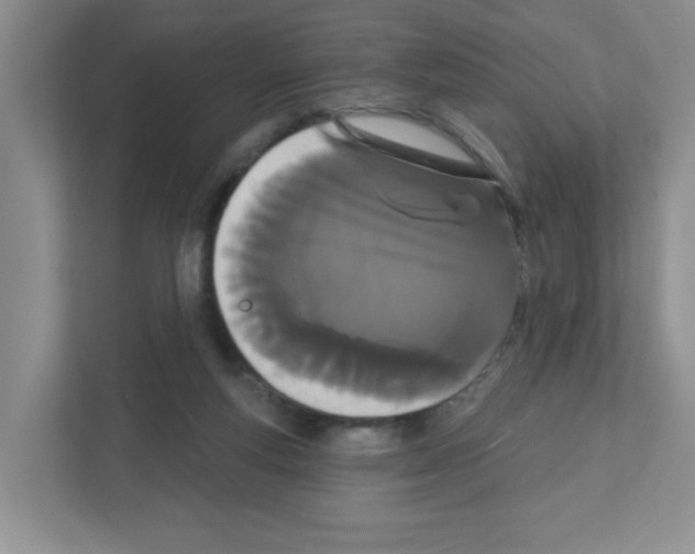 X0000111420163200908241139