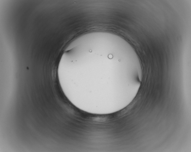 X0000111420168200908241139