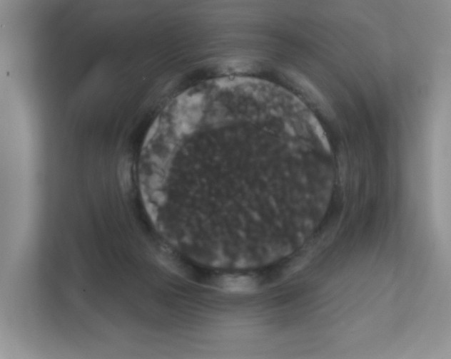 X0000111420169200908241139