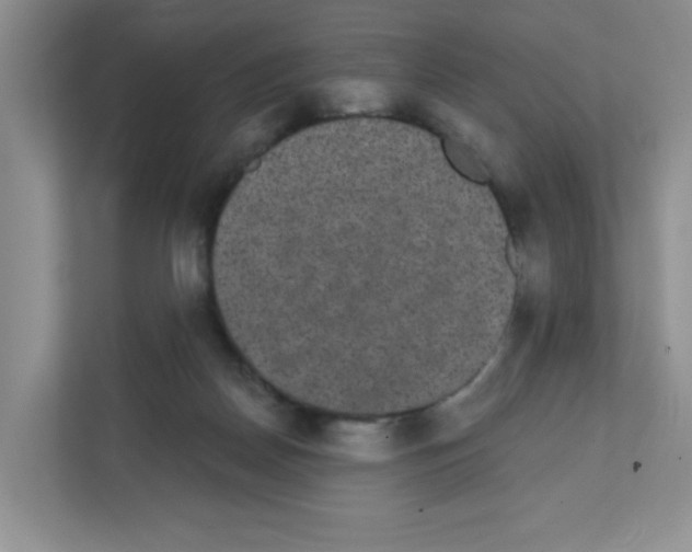 X0000111420170200908241139