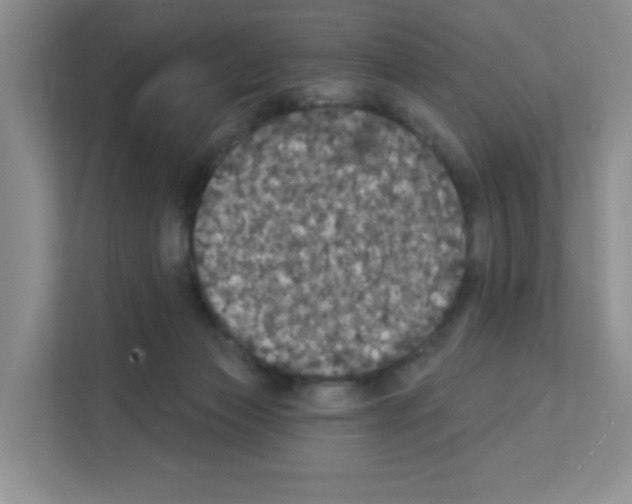 X0000111420173200908241139