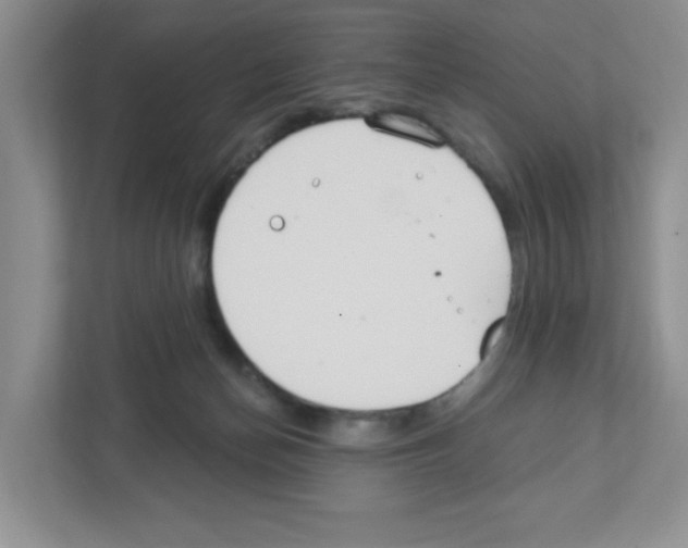 X0000111420174200908241139