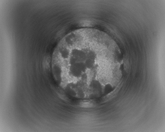 X0000111420175200908241139