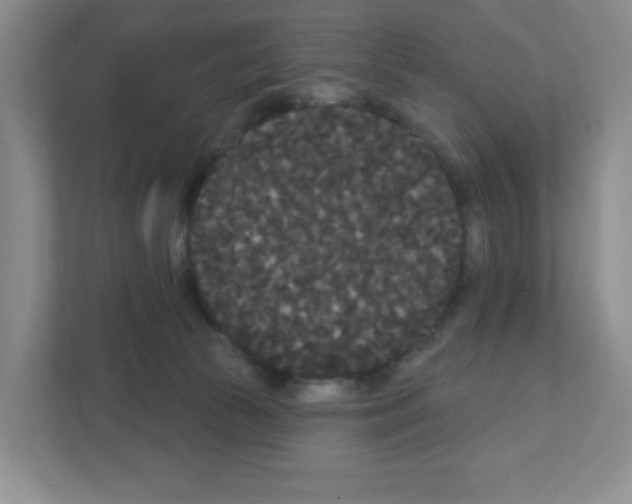 X0000111420177200908241139