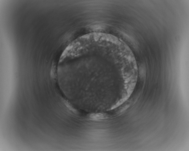 X0000111420181200908241139