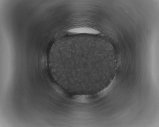 X0000111420182200908241139